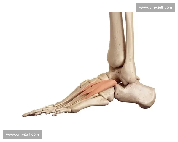 以内脚背射为中心的足部运动学研究及其在健康管理中的应用探索